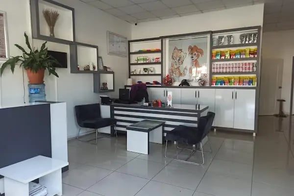 Kare Veteriner Kliniği - Resim 2