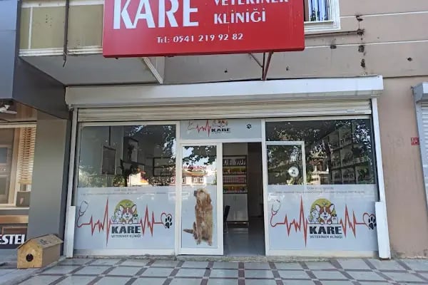 Kare Veteriner Kliniği - Resim 3