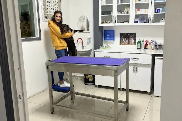 Kare Veteriner Kliniği - Resim 14