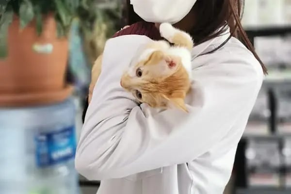 Kare Veteriner Kliniği - Resim 12