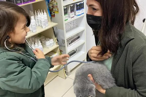 Kare Veteriner Kliniği - Resim 13