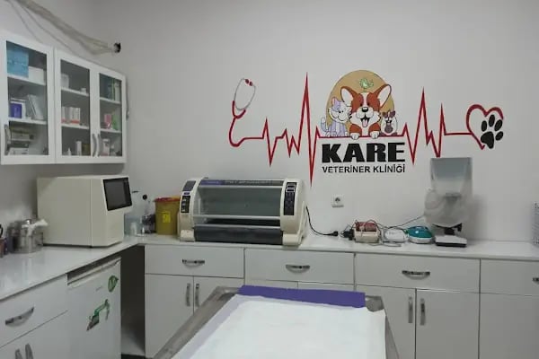 Kare Veteriner Kliniği - Resim 15
