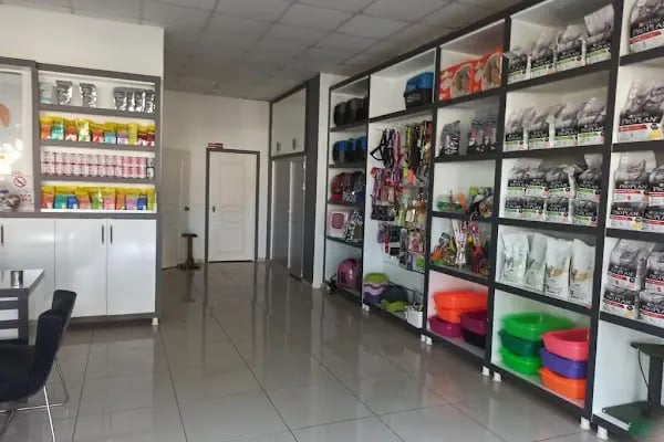Kare Veteriner Kliniği - Resim 17