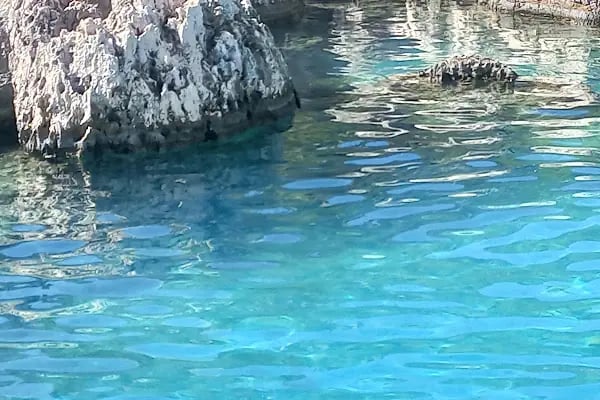 Kekova Tekne Turu - Resim 2