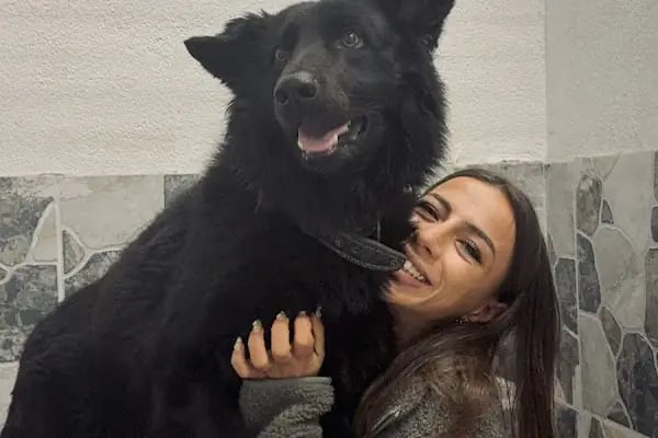 Çerkezköy PATİKAM Veteriner Kliniği - Resim 19