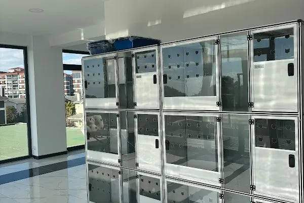 Çerkezköy PATİKAM Veteriner Kliniği - Resim 18