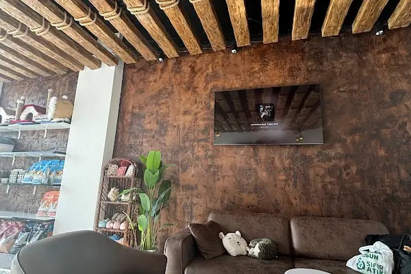 Çerkezköy PATİKAM Veteriner Kliniği - Resim 7