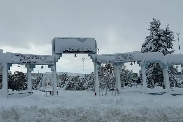 Ekinova Ekmek Fırını - Resim 13