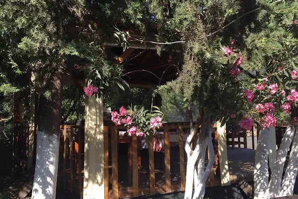 No 1281 Boutique Hotel - Resim 13