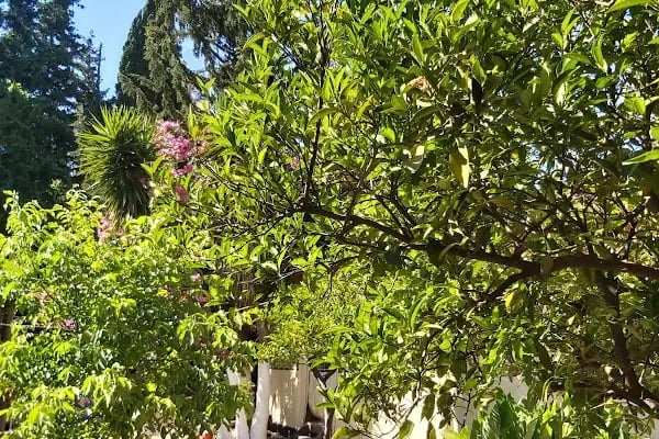 No 1281 Boutique Hotel - Resim 4