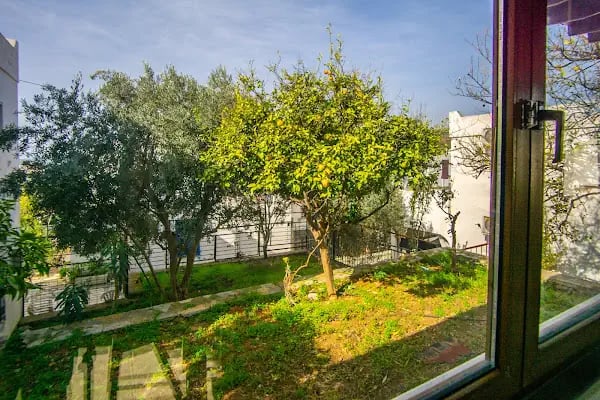 DOLPHIN RESIDENCES - Resim 12