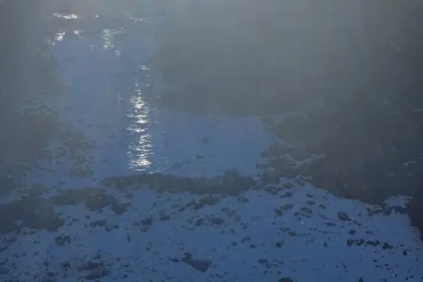 Kır kütüphanesi - Resim 18