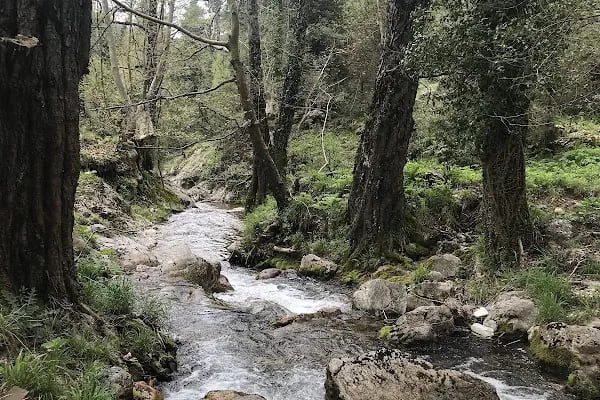 Kır kütüphanesi - Resim 9