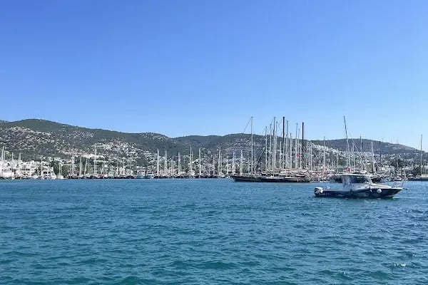 Port Bodrum Houses - Resim 9