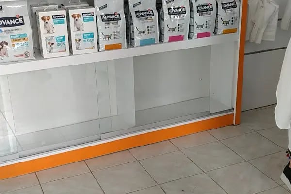 Medicus Veritas Veteriner Kliniği - Resim 17