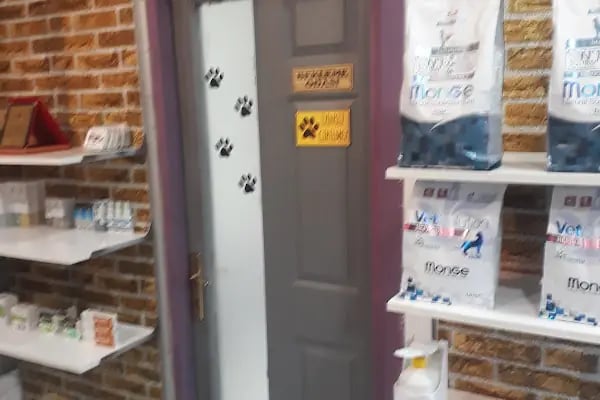 Medicus Veritas Veteriner Kliniği - Resim 14