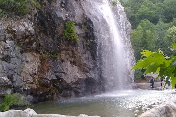 Kocakoru Tabiat Parkı - Resim 17
