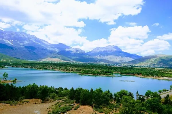 Kocakoru Tabiat Parkı - Resim 10