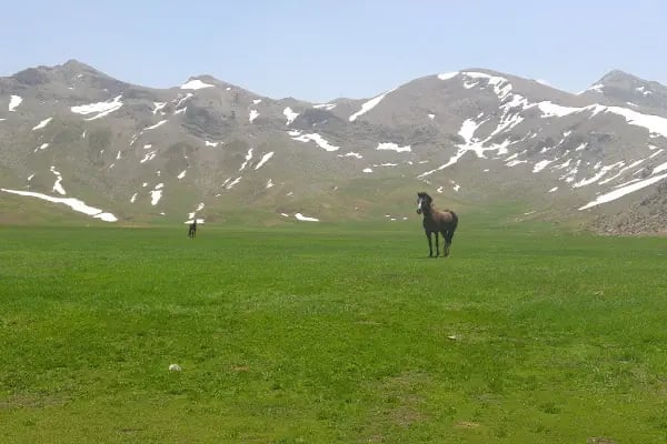 Kocakoru Tabiat Parkı - Resim 16