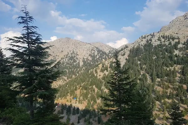 Kocakoru Tabiat Parkı - Resim 7