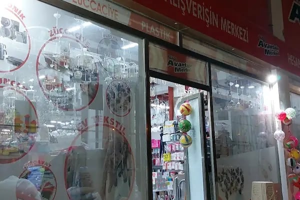 Avanyajın Merkezi - Resim 2