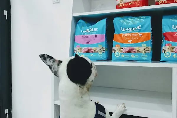 Poseidon Veteriner Kliniği - Resim 13