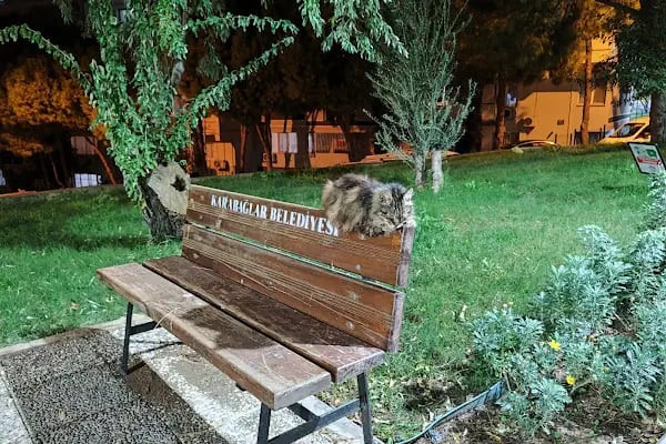Güzel İzmir Parkı - Resim 4
