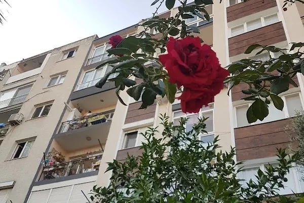 Güzel İzmir Parkı - Resim 8