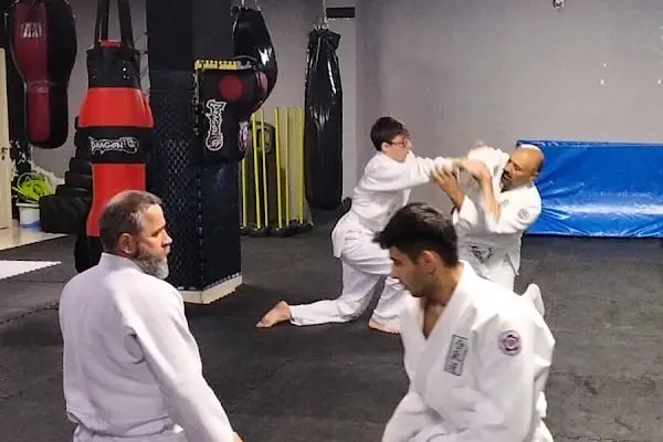 Anka Dojo Samsun - Resim 5