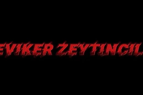 ÇEVİKER ZEYTİNCİLİK - Resim 7