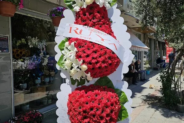 Gemlik Çiçekçi - Rüya Çiçek Evi - Resim 8