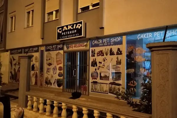 Çakır Petshop - Resim 2