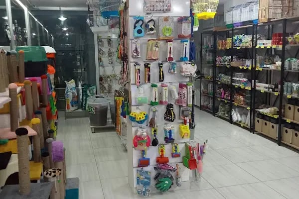 Çakır Petshop - Resim 7