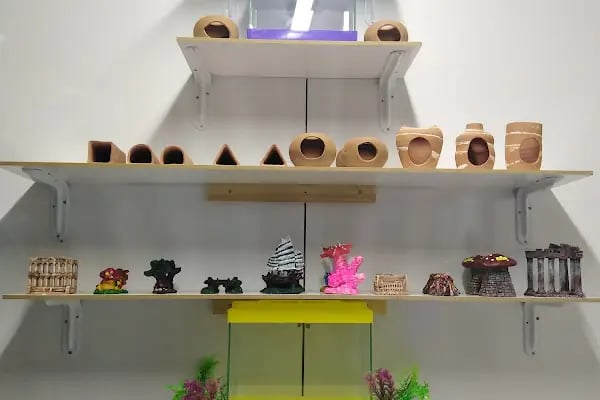 Çakır Petshop - Resim 3