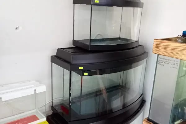 Çakır Petshop - Resim 9