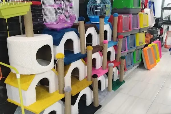 Çakır Petshop - Resim 5