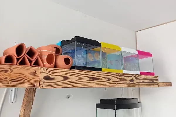 Çakır Petshop - Resim 16