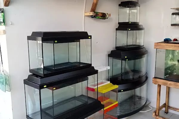 Çakır Petshop - Resim 6