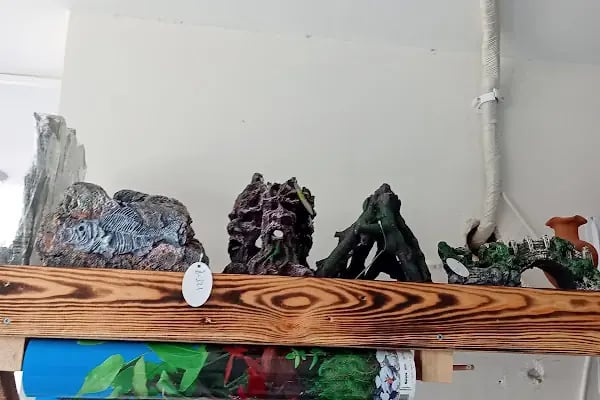 Çakır Petshop - Resim 13