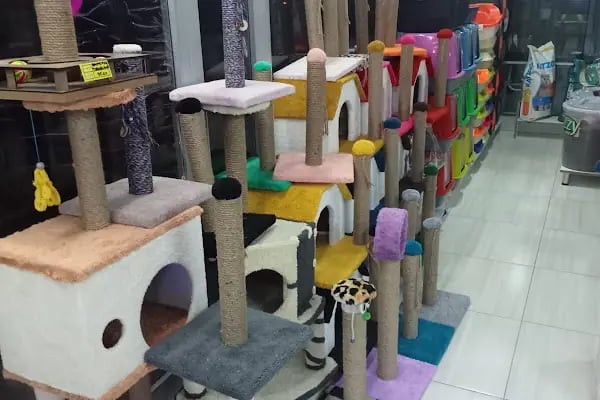 Çakır Petshop - Resim 11