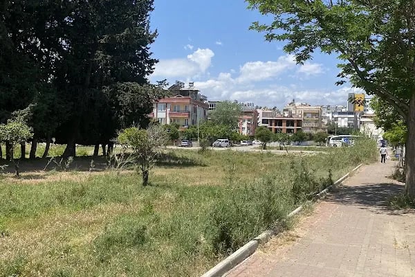 Güloş Yün - Resim 4