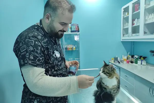 Ümraniye Akça Veteriner Kliniği - Resim 6