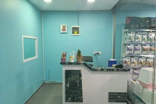 Ümraniye Akça Veteriner Kliniği - Resim 12