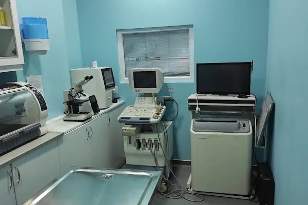 Ümraniye Akça Veteriner Kliniği - Resim 11