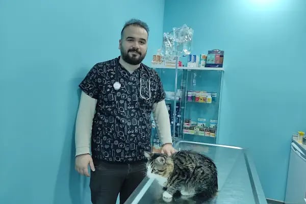 Ümraniye Akça Veteriner Kliniği - Resim 5