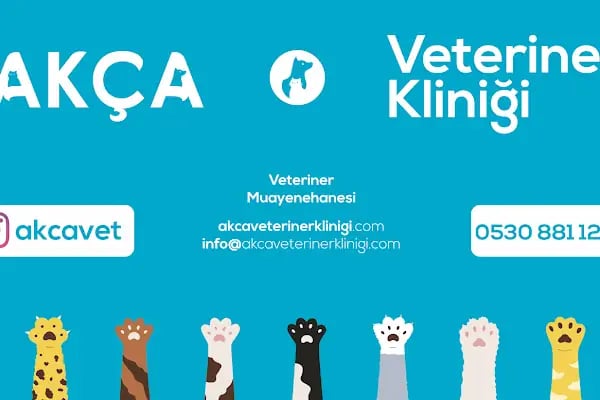 Ümraniye Akça Veteriner Kliniği - Resim 10