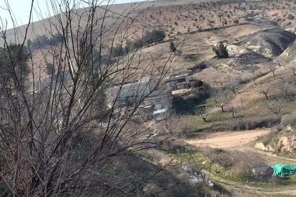 Karabacak Fıstık Arazileri - Resim 5