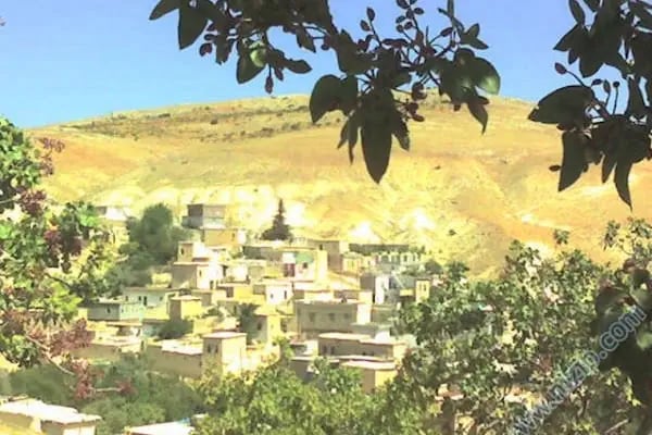 Karabacak Fıstık Arazileri - Resim 7