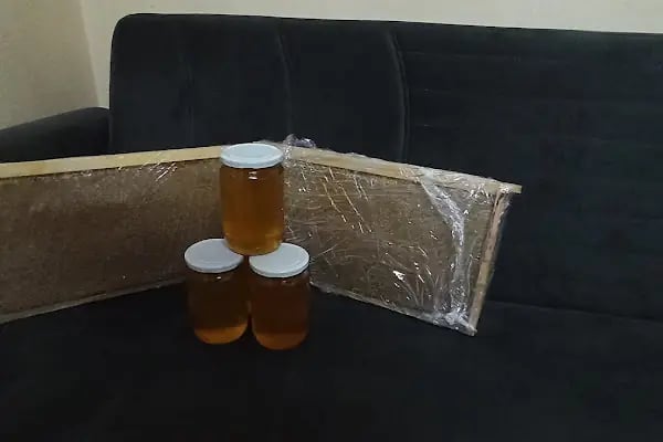 Karabacak Fıstık Arazileri - Resim 4