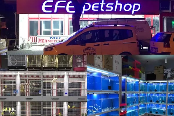 Efe Petshop - Resim 12